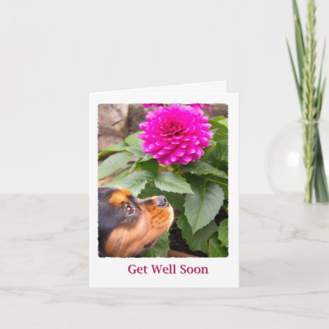 Carte Prompt rétablissement Dahlia et Cavalier King Char (Devant)