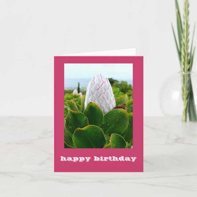 CARTE "PROTEA : JEUX ANNIVERSAIRE" (Devant)