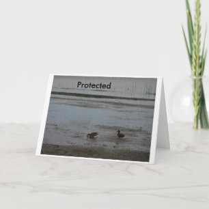 Carte Protégé