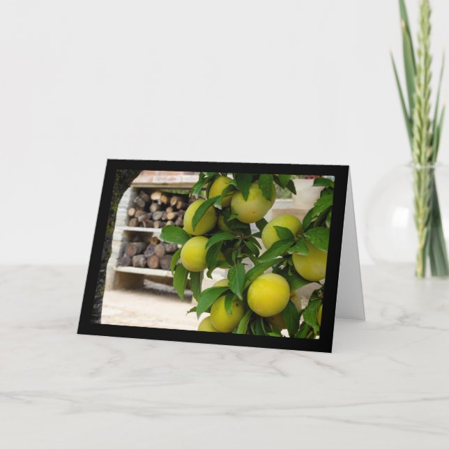 Carte Prunes Jaunes Bois Rustique (Devant)