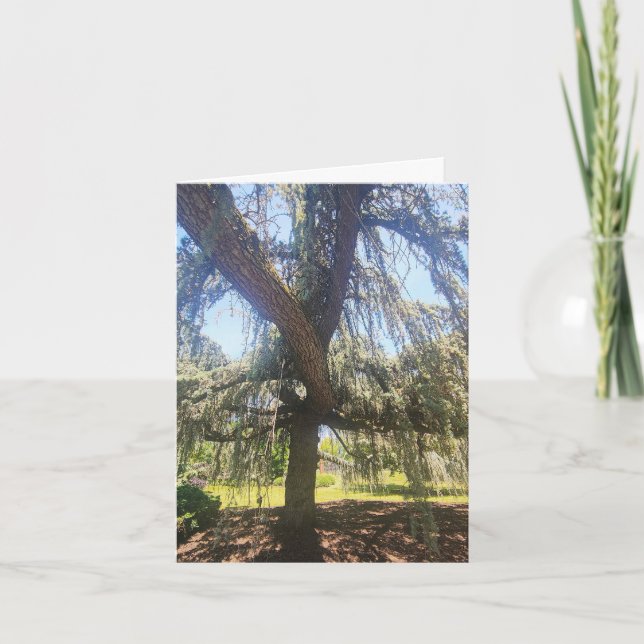 Carte Psalm 1:1-3 Blank Card (Devant)