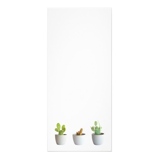 Carte Publicitaire Cactus in pots (Devant)