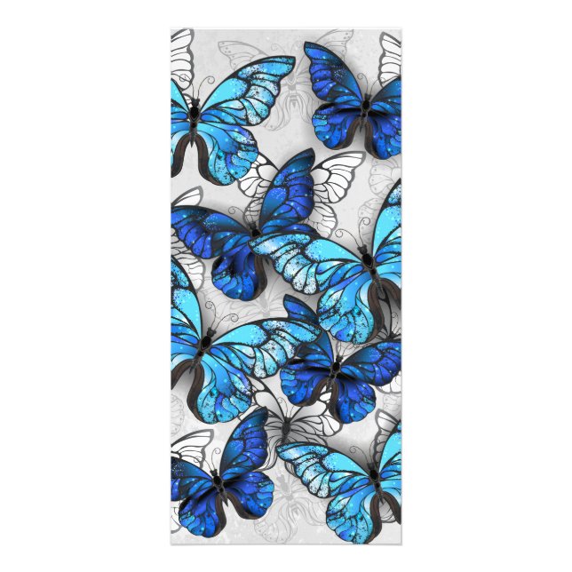 Carte Publicitaire Composition des White and Blue Butterflies (Devant)