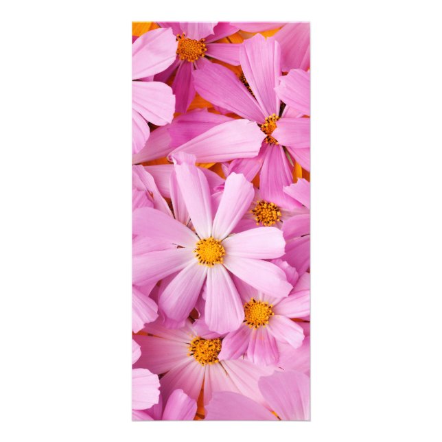 Carte Publicitaire Fleurs roses (Devant)