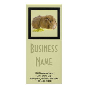 Carte Publicitaire Ginger Guinea Pig Photo Pet Care Business