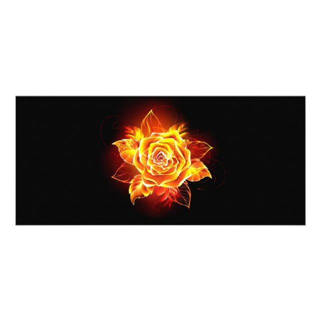 Carte Publicitaire Rose de feu en fleurs (Devant)