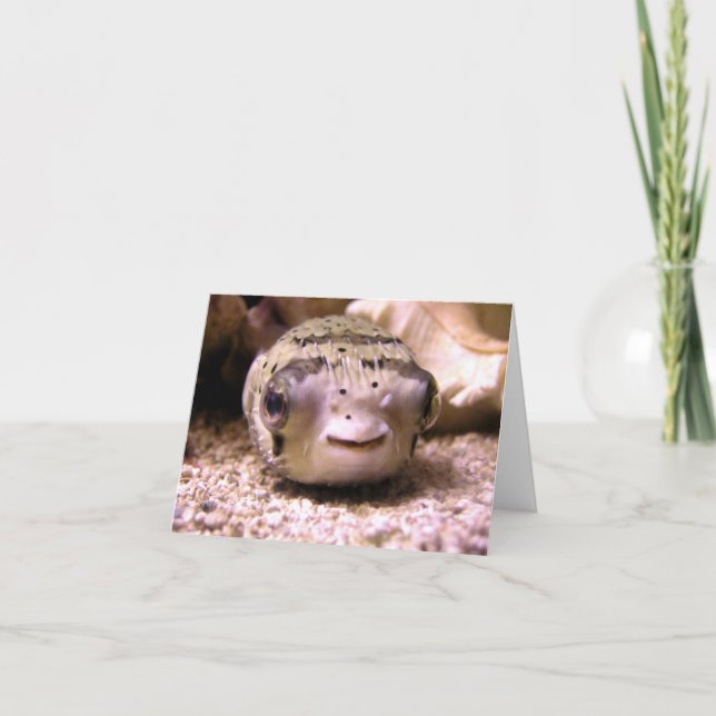 Carte Pufferfish du Blowfish de Helaine (Devant)