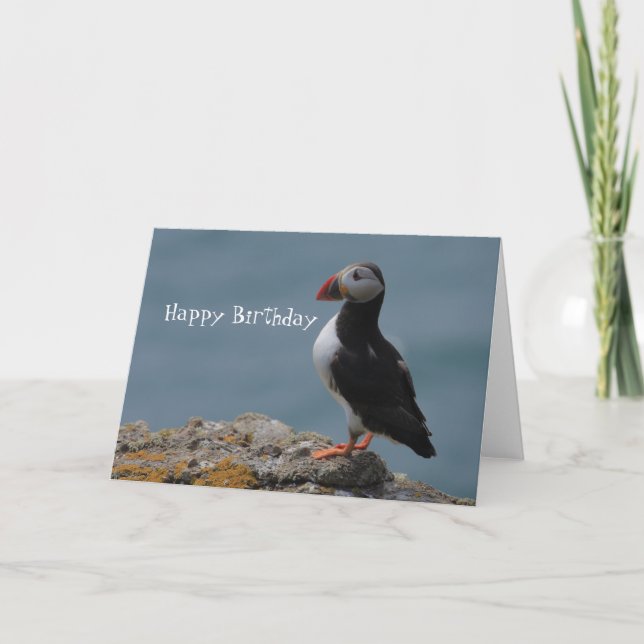 Carte Puffin Anniversaire Salutations (Devant)