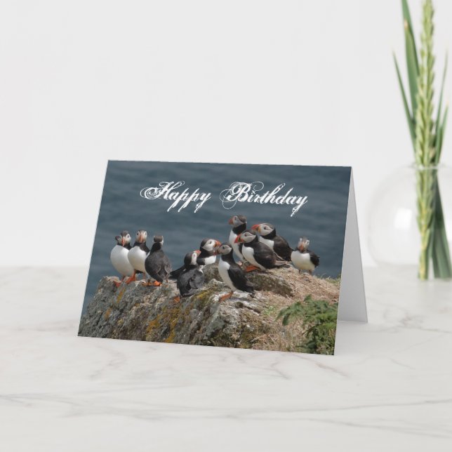 Carte Puffin Anniversaire Salutations (Devant)