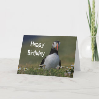 Carte Puffin Anniversaire Salutations