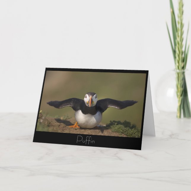 Carte Puffin de vidange (Devant)