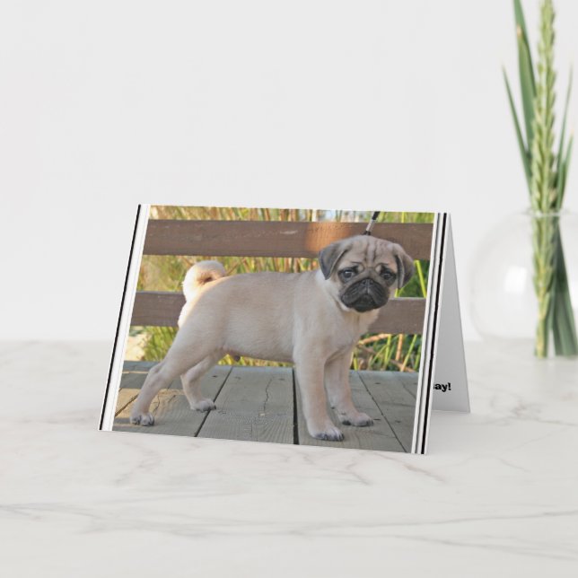 Carte Pug Puppy (Devant)