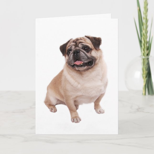 Carte Pug Puppy Dog Blank Greeting Note (Devant)