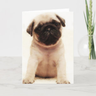 Carte Pug puppy greeting