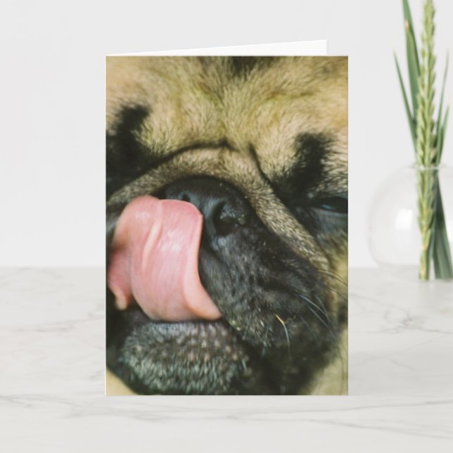 Carte Pugalicious Grey Card (Devant)
