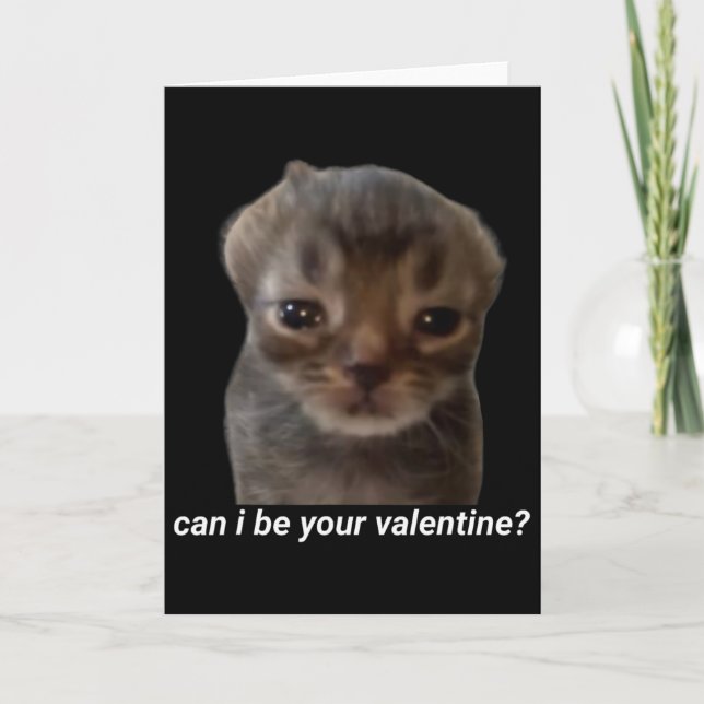 Carte Puis-je être votre Saint-Valentin Mème de chat drô (Devant)