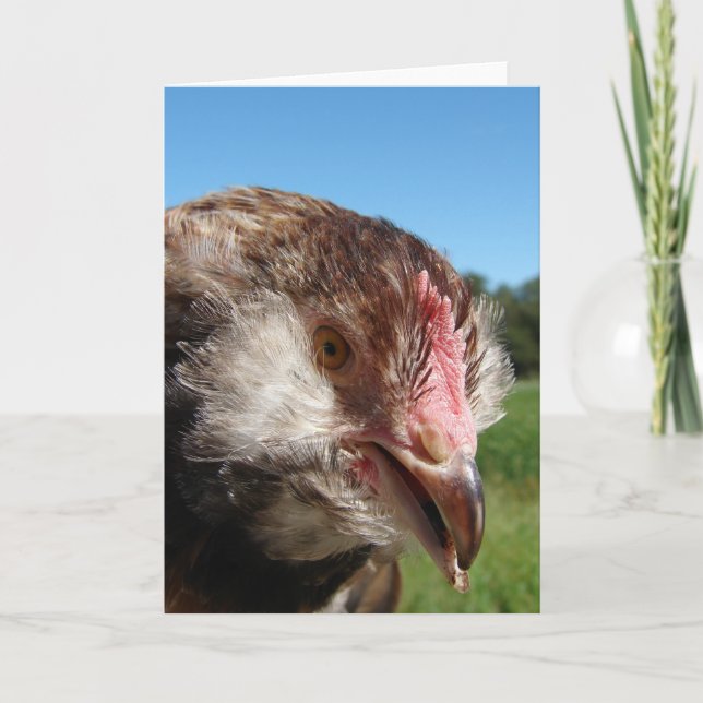 Carte Pullet saumon Faverolle (Devant)