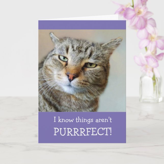 Carte Pun De Chat Et Plaisanterie Se Bien (Orchidée)