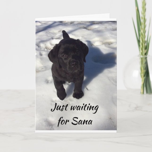 CARTE *PUP ATTEND PÈRE NOËL* JOYEZ NOËL (Devant)