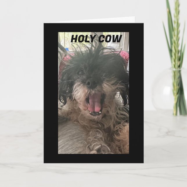 CARTE PUP EST BAFFLED-COMMENT VOUS AVEZ TOURNÉ 50 (Devant)