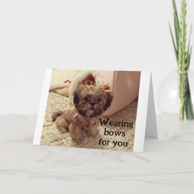 CARTE PUP PORTE SES LIVRES À VOTRE ANNIVERSAIRE (Devant)