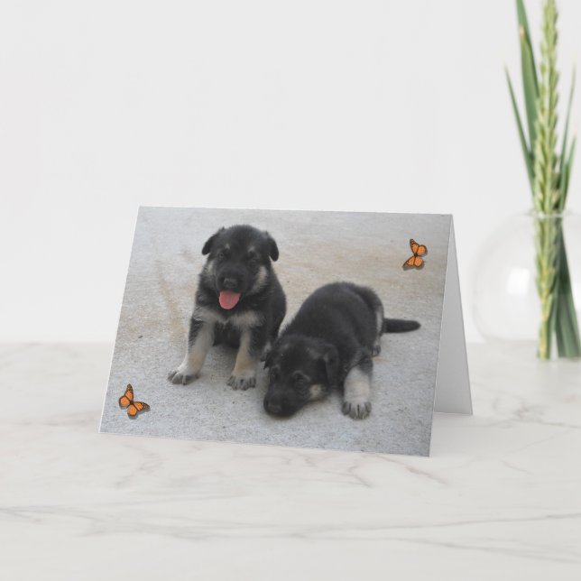 Carte Puppies adorable (Devant)