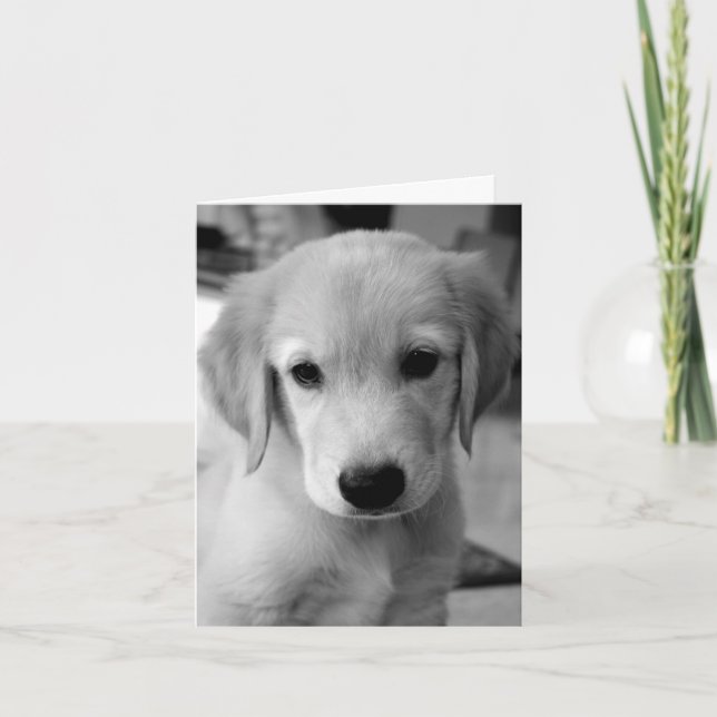 Carte Puppy (Devant)