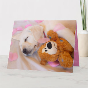 Carte Puppy cuddles 02