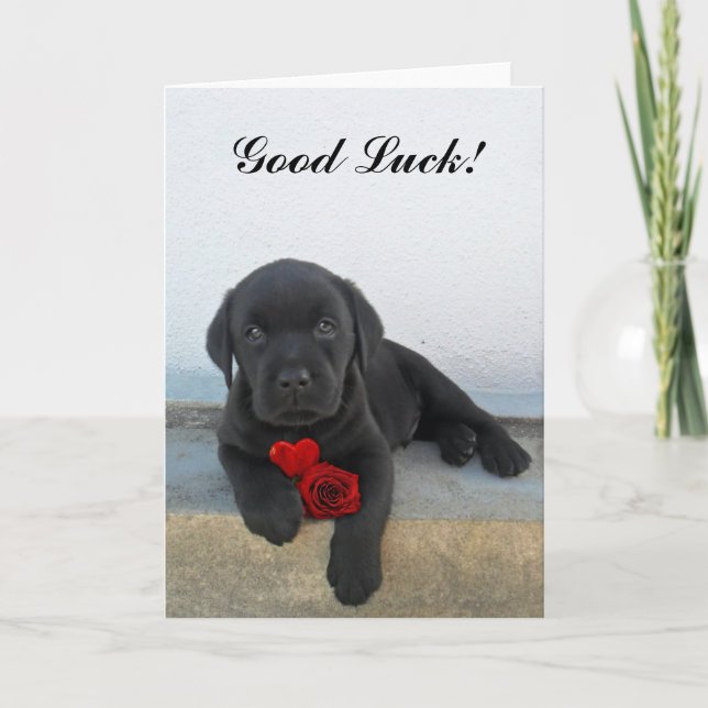 Carte Puppy de Good Luck labrador (Devant)