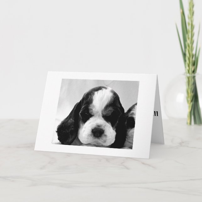 CARTE PUPPY DIT "DIT QUE CE N'EST PAS SI "AU-DESSUS DE L (Devant)