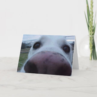 Carte Puppy Dog Face