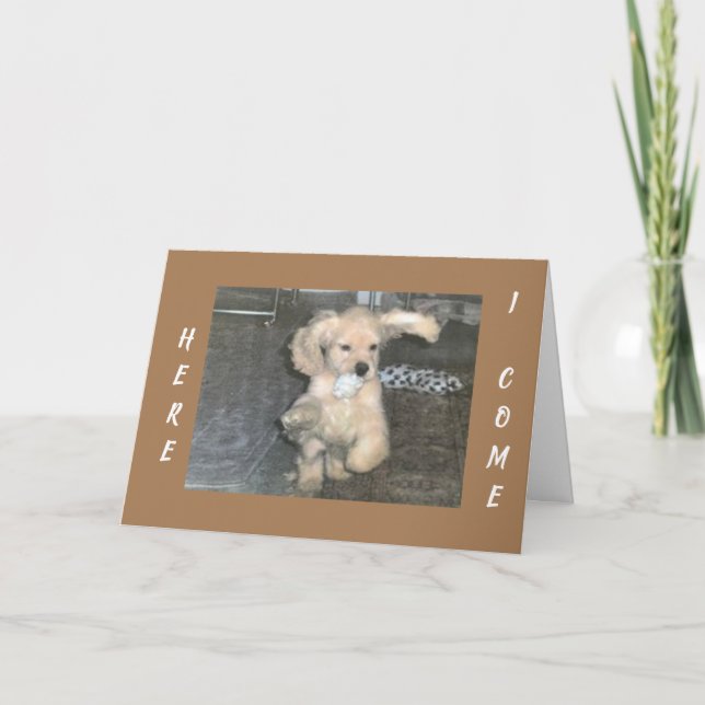 CARTE PUPPY ESPAGNOL NE PEUT PAS ATTENDRE DE DIRE *JOYEU (Devant)