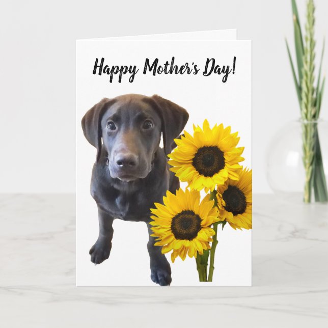 Carte Puppy et Sunflower de Black Lab (Devant)