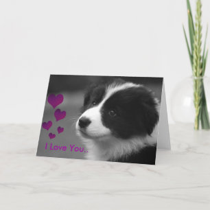 Carte Puppy, je t'aime