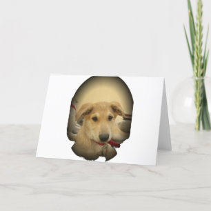 Carte Puppy Love : Le meilleur ami de l'homme