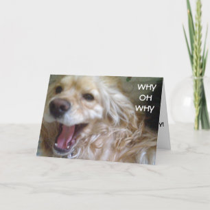 CARTE "PUPPY WOES" BATTU ANNIVERSAIRE