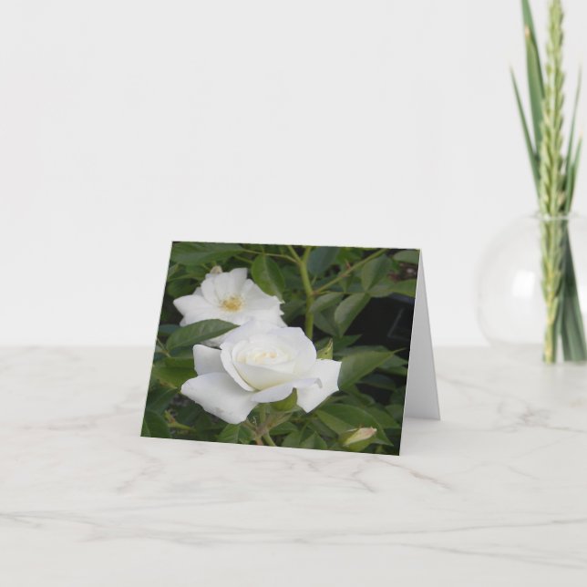 Carte Pureté et paix... (Devant)