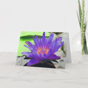 Carte Purple lotus