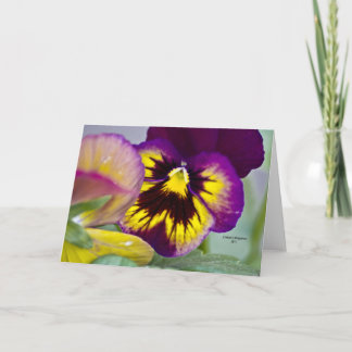 Carte Purple Pansy