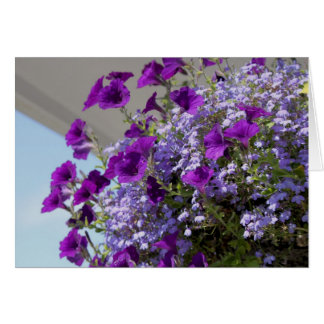 Carte Purple Petunias 5x7