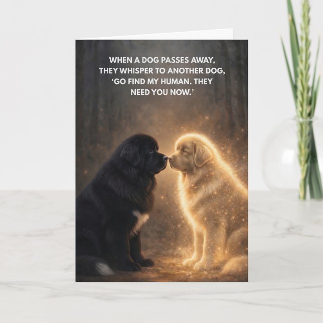 Carte Quand un chien s'en va (Devant)