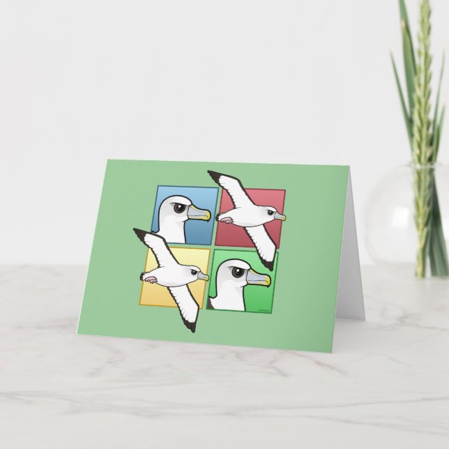 Carte Quatre albatros couleur (Devant)