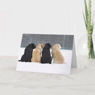 Carte Quatre Chiens Du Labrador En Neige