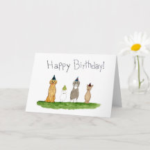 Quatre chiens en chapeaux de fête d'anniversaire