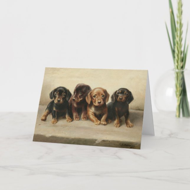 Carte Quatre Chipons Dachshund | Carl Reichert (Devant)