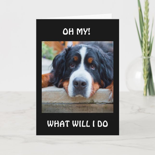 CARTE QUE VAIS-JE FAIRE "SANS VOUS ?" (Devant)