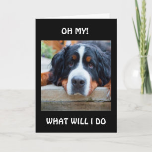 CARTE QUE VAIS-JE FAIRE "SANS VOUS ?"