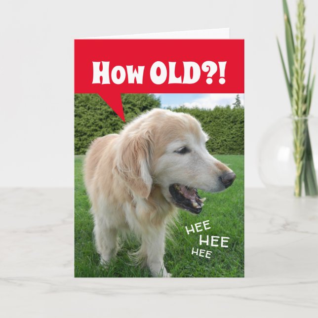 Carte QUEL ÂGE ? ! Rire Golden Retriever Dog Anniversair (Devant)