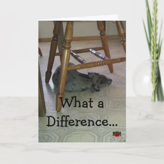 Carte Quelle différence par année fait ! ! ! !