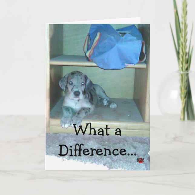 Carte Quelle différence une année fait ! ! ! ! (Devant)